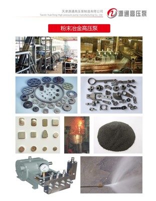 【粉末冶金用高压泵 柱塞泵 天津生产 高压力 超高压 3D3】 -